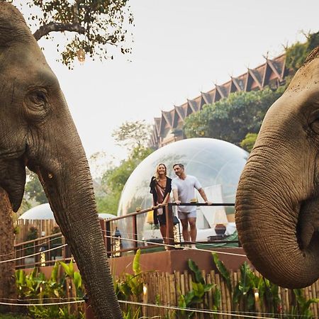 Anantara Golden Triangle Elephant Camp & Resort Chiang Rai Buitenkant foto